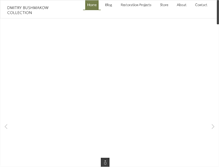 Tablet Screenshot of bushmakow.com